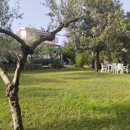 Appartamento In Villa Bruno Olbia Kültér fotó